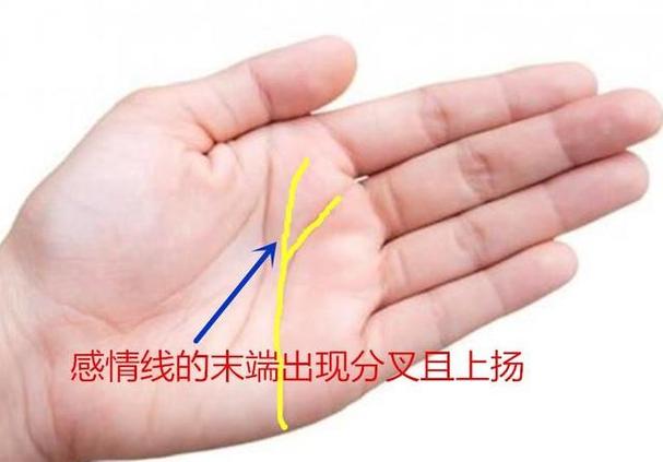 女人右手感情线分叉2条（双重感情线出现在女性右手）